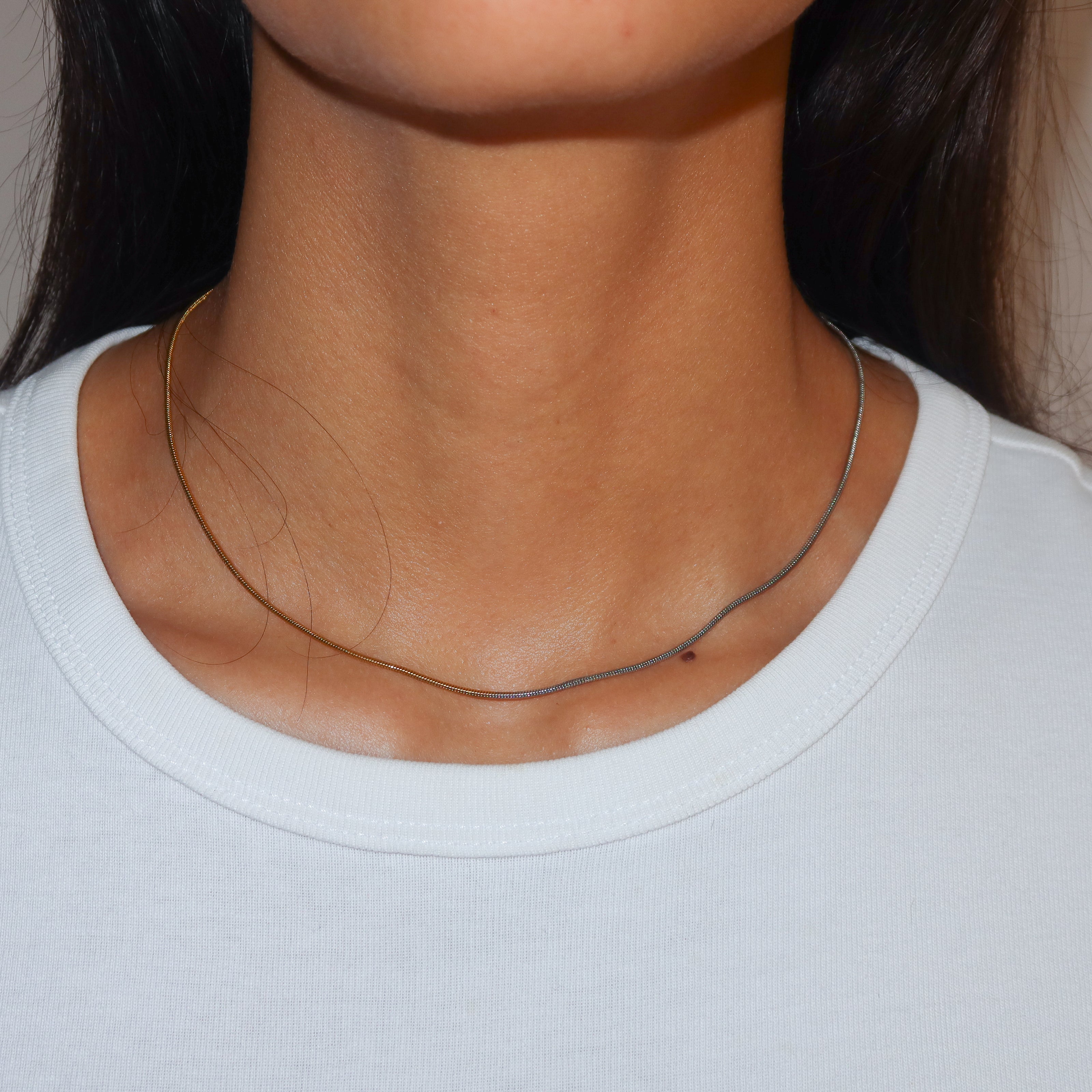 Collar Cola de Ratón
