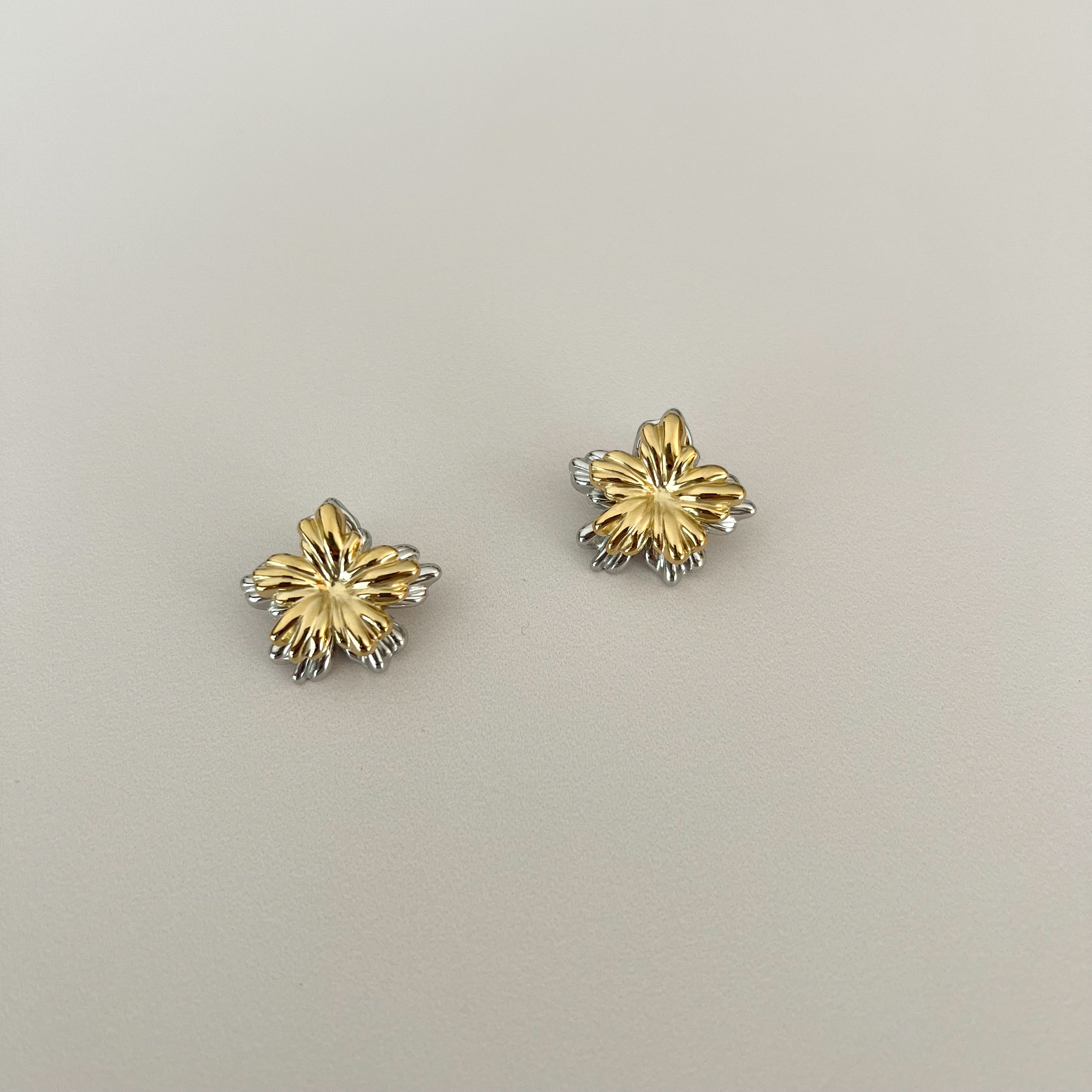 Aretes Tini