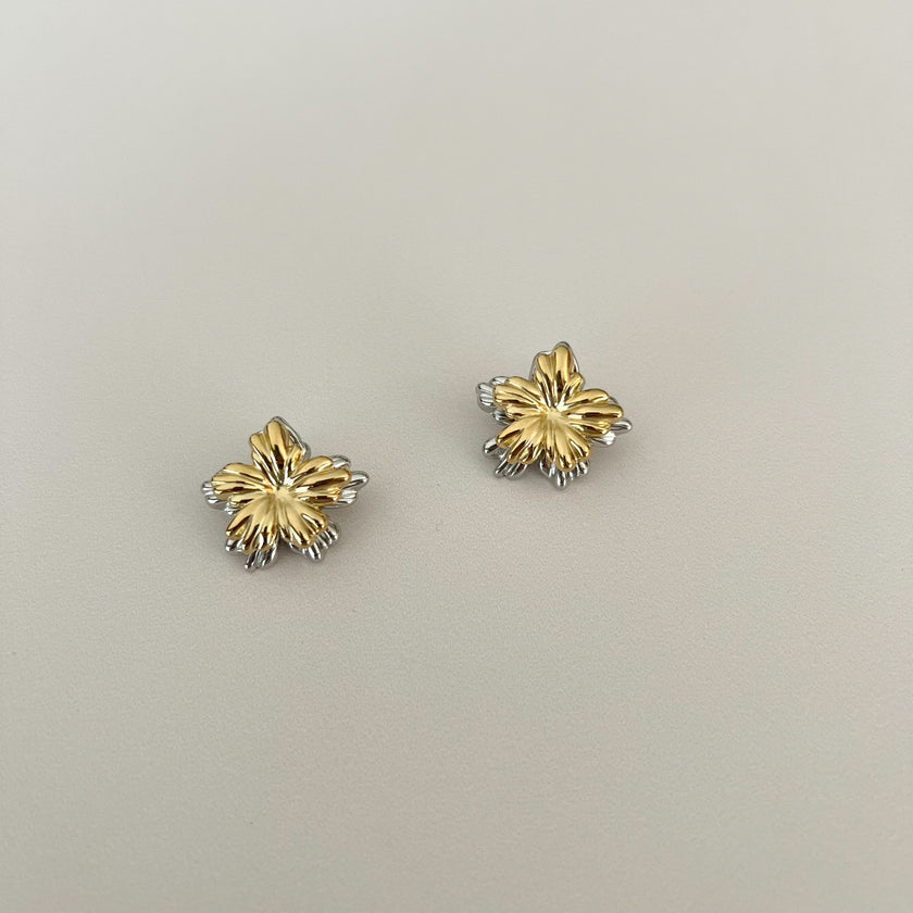 Aretes Tini