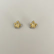 Aretes Tini