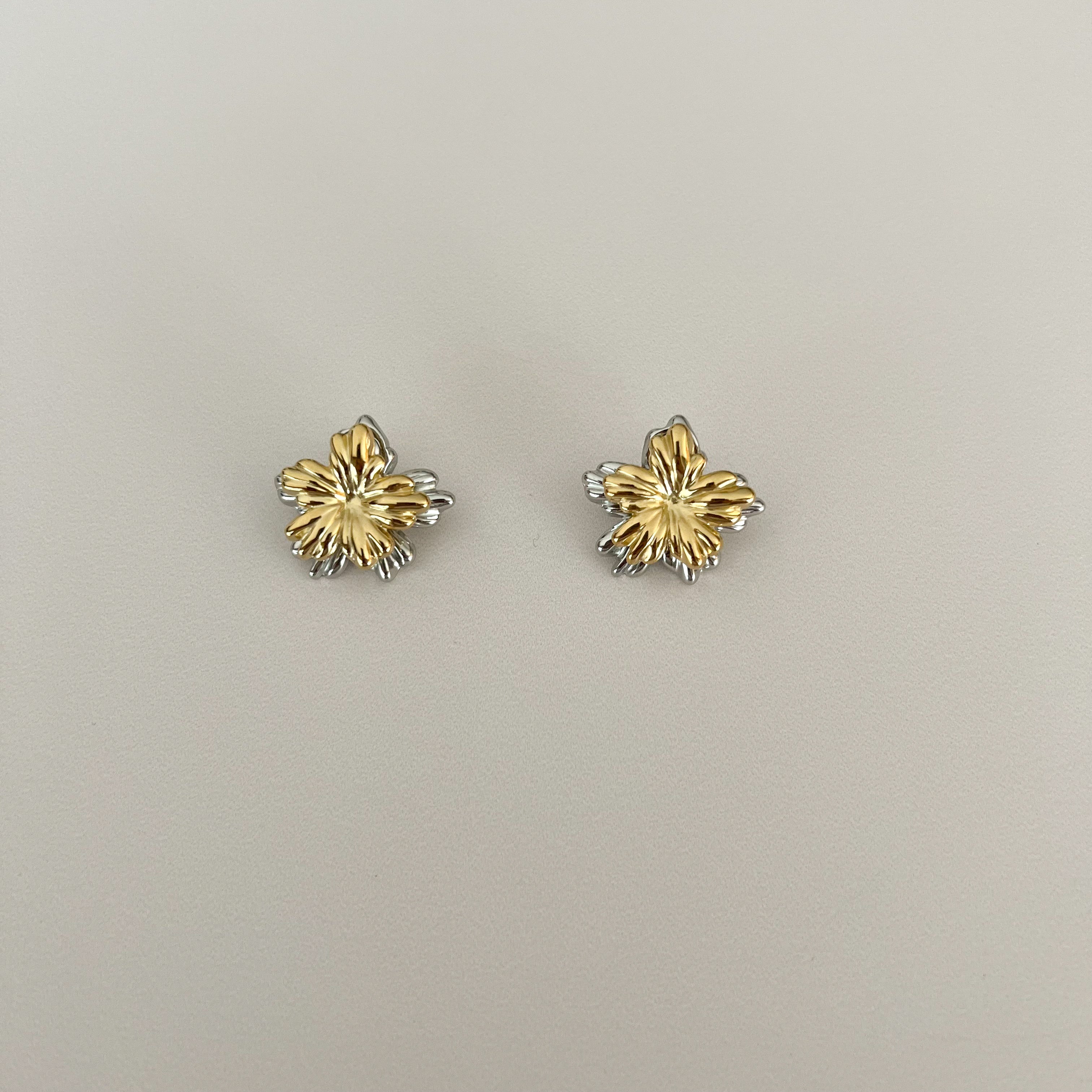 Aretes Tini