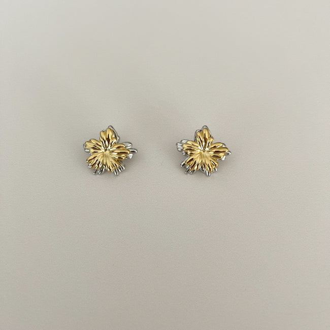 Aretes Tini