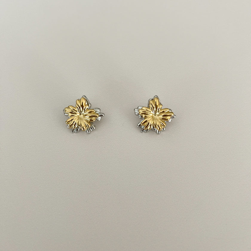 Aretes Tini