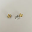 Aretes Tini