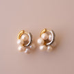 Arete Classic Bloom