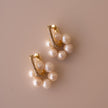 Arete Classic Bloom