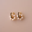 Arete Classic Bloom